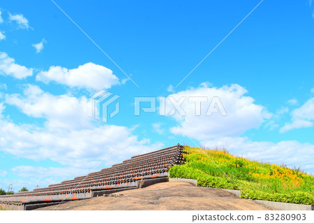 多托 多托 83280903