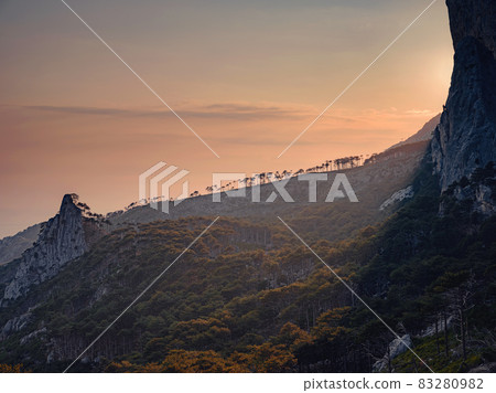 Forest landscape with fir trees and stones. Forest landscape with fir trees and stones. 83280982