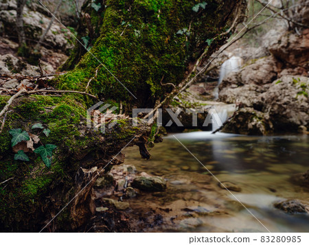 Deep forest winter creek waterfall. nature landscape. Deep forest winter creek waterfall. nature landscape. 83280985
