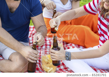 Friends enjoying drinks at picnic 83281701