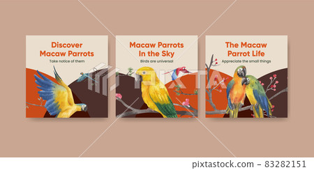 Banner template with macaw parrot bird concept,watercolor style Banner template with macaw parrot bird concept,watercolor style 83282151