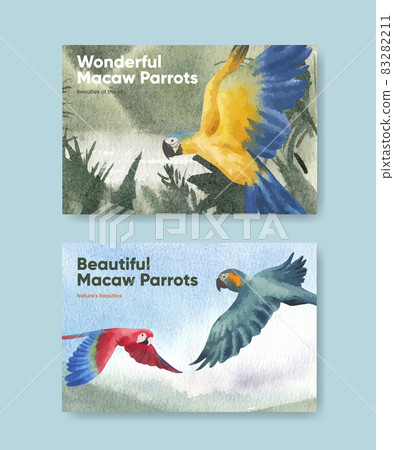 Facebook template with macaw parrot bird concept,watercolor style 83282211