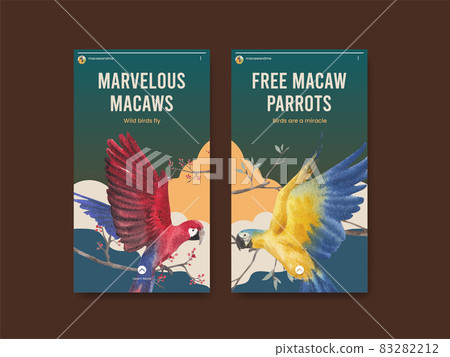 Instagram template with macaw parrot bird concept,watercolor style Instagram template with macaw parrot bird concept,watercolor style 83282212