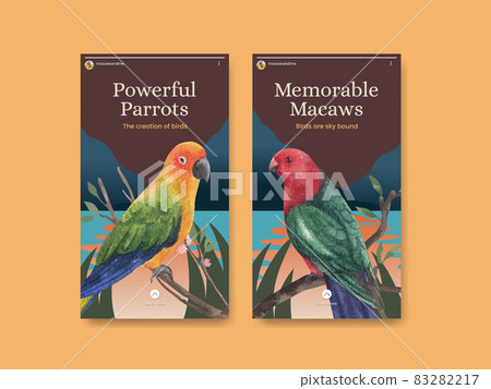 Instagram template with macaw parrot bird concept,watercolor style 83282217