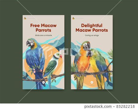 Instagram template with macaw parrot bird concept,watercolor style Instagram template with macaw parrot bird concept,watercolor style 83282218
