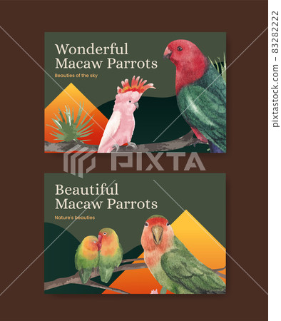 Facebook template with macaw parrot bird concept,watercolor style Facebook template with macaw parrot bird concept,watercolor style 83282222