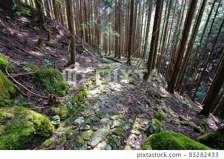 熊熊山鹽之道森林和鵝卵石 熊熊山鹽之道森林和鵝卵石 83282433