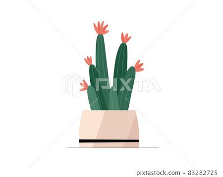 Free Vector, Cute cactus collection in flat design