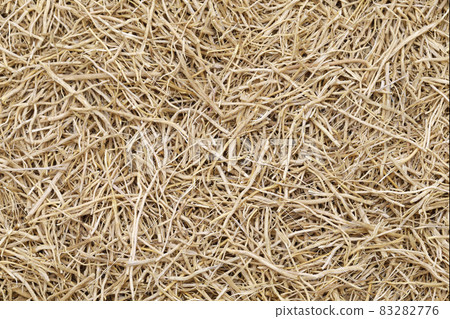 乾香根草 83282776