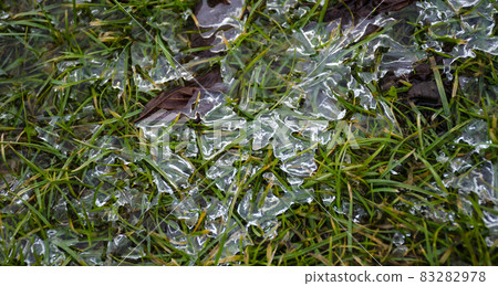 Glittering pieces of ice on the green grass. Spring background with rime on young greens. Melting ice on the ground. Glittering pieces of ice on the green grass. Spring background with rime on young greens. Melting ice on the ground. 83282978
