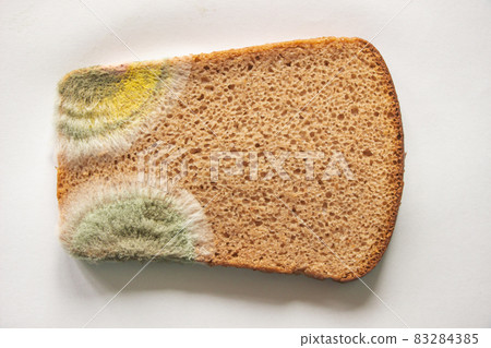 beautiful mold on a piece of bread. Background is white beautiful mold on a piece of bread. Background is white 83284385
