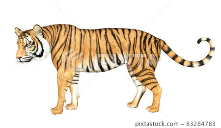 3D Red Tiger 3D Red Tiger 83284783