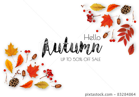 Autumn Colorful Leaves Sale Background with forest leaves, berries, cone, acorn, viburnum . Vector. Autumn Colorful Leaves Sale Background with forest leaves, berries, cone, acorn, viburnum . Vector. 83284864