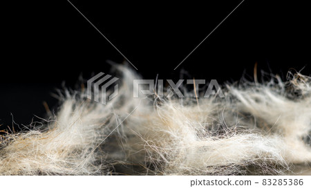 light dog hair on a black background. moult light dog hair on a black background. moult 83285386