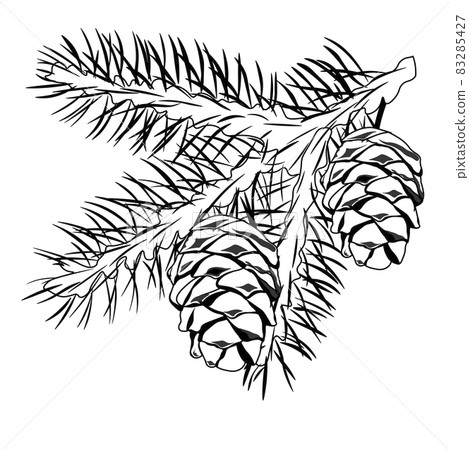 Cedar branch with a cone vector stock illustration. Coniferous evergreen plant Canadian and Lebanese cedar. Shoots with needles of a resinous plant. Isolated on a white background. Cedar branch with a cone vector stock illustration. Coniferous evergreen plant Canadian and Lebanese cedar. Shoots with needles of a resinous plant. Isolated on a white background. 83285427