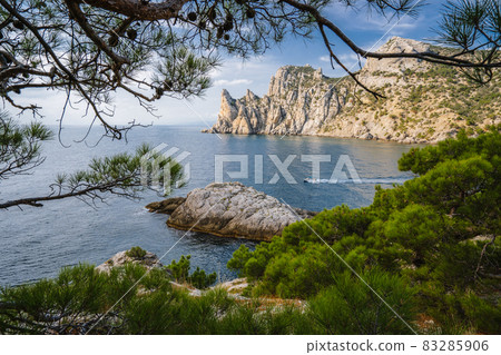 Relict pine on a rocky seashore. Cape Kapchik, Noviy Svet, Crimea Relict pine on a rocky seashore. Cape Kapchik, Noviy Svet, Crimea 83285906