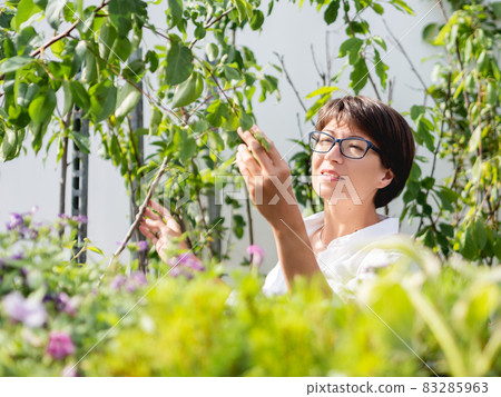 Woman chooses plants and trees for landscaping. Outdoor shelves with seedlings, flowering plants and seeds in flower shop. Open air agronomic market. 83285963
