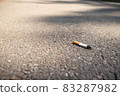 Cigarette butt thrown on the asphalt pavement. Bad habit dangerous for human health and 83287982