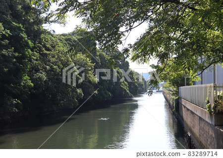 Landscape with forest of green trees and river Landscape with forest of green trees and river 83289714