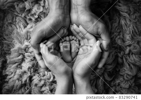 Legs and toes of a newborn. Parents hold the legs of the newborn in their palms. The palms of the father and mother. Black and white photo. Legs and toes of a newborn. Parents hold the legs of the newborn in their palms. The palms of the father and mother. Black and white photo. 83290741