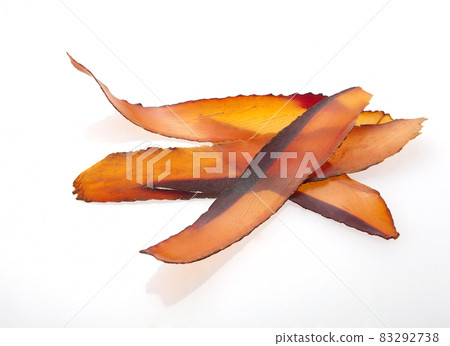 厚鰹魚片 83292738