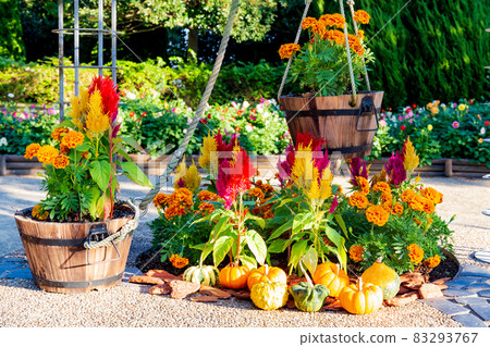 Halloween pumpkin decorations at Akashi Kaikyo National Government Park on Awaji Island Halloween pumpkin decorations at Akashi Kaikyo National Government Park on Awaji Island 83293767
