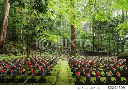 Shiga Prefecture, the precincts of the Kongorin-ji Temple, one of the three mountains of Koto, lined with blue autumn leaves and a thousand Jizo 83294809