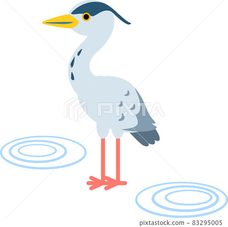 站在水邊的灰鷺 83295005