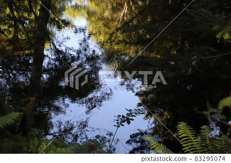 上帝的池塘 83295074