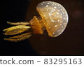 漂浮的水母 83295163