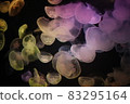 漂浮的水母 83295164