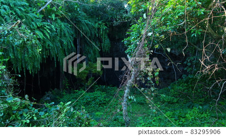 Narikawa Cave, a limestone cave on Miyakojima 83295906