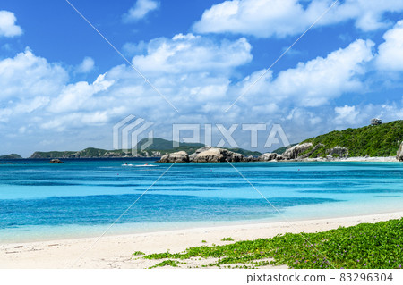 Okinawa Kerama Gunbai Hirugao Blooming Aharen Beach Okinawa Kerama Gunbai Hirugao Blooming Aharen Beach 83296304