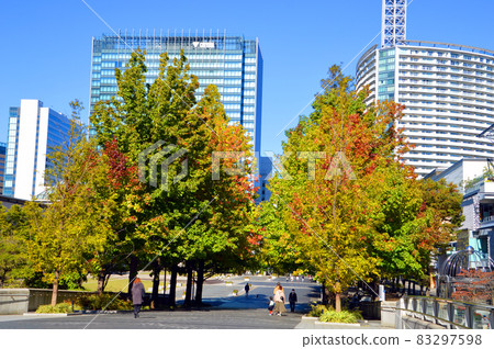 港未來區的城市公園 83297598