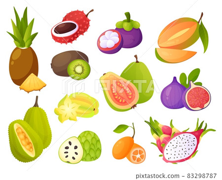 Exotic fruits. Juicy pineapple and mango, tropical guava and tasty fig, mangosteen and carambola, cartoon jackfruit and organic cherimoya, raw papaya fresh vitamin natural food. Vector set 83298787
