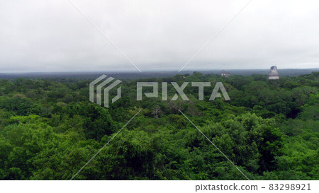 瑪雅文明的蒂卡爾遺址，叢林中的寺廟（階梯金字塔），危地馬拉 83298921