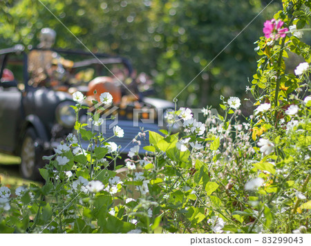 初秋的園林景觀 83299043