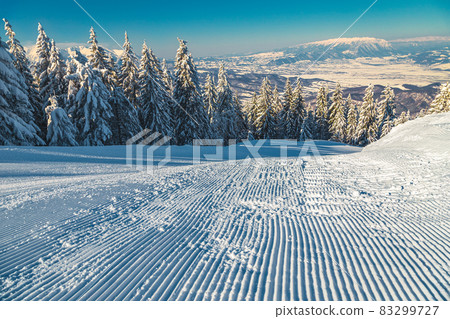 Ski route and snowy pine forest in the Carpathians, Romania 83299727
