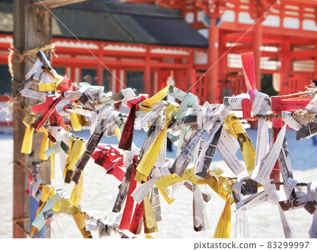 [Kyoto City] Colorful fortune 83299997