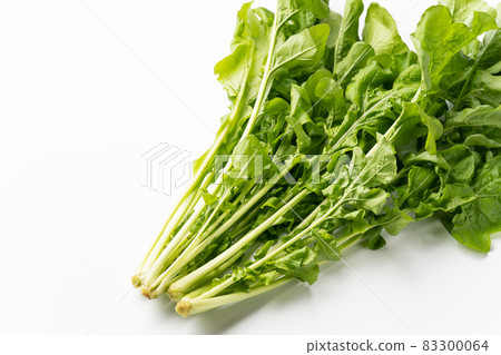 arugula arugula 83300064