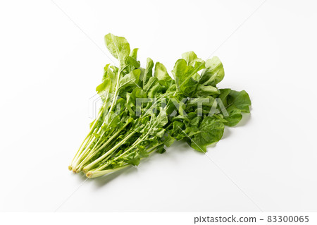 arugula arugula 83300065