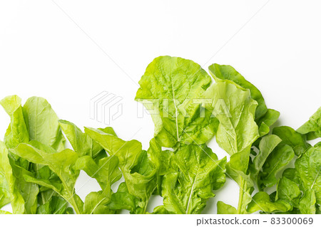 arugula arugula 83300069