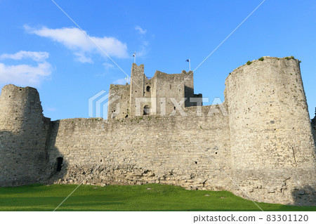 Trim Castle near Dublin, Ireland 83301120