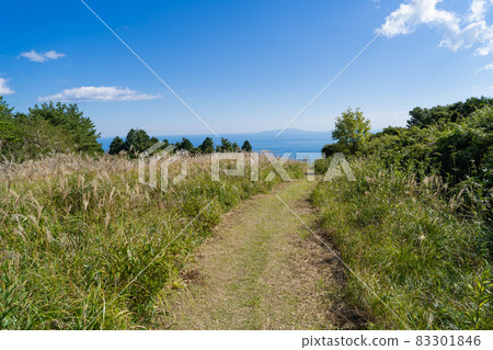 Mountain trail from 35th Street to Sasa Square (Atami City) 83301846