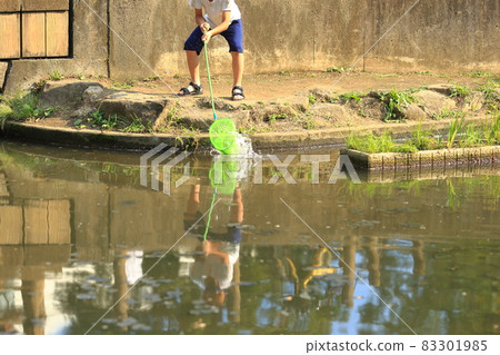 蜻蜓去除 83301985