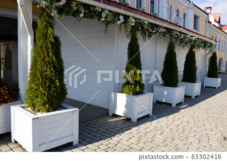 Beautiful city landscape.Green thuja trees are planted in white wooden boxes on the city square Beautiful city landscape.Green thuja trees are planted in white wooden boxes on the city square 83302416