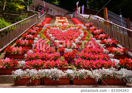 The flower bed of the heart The flower bed of the heart 83304263