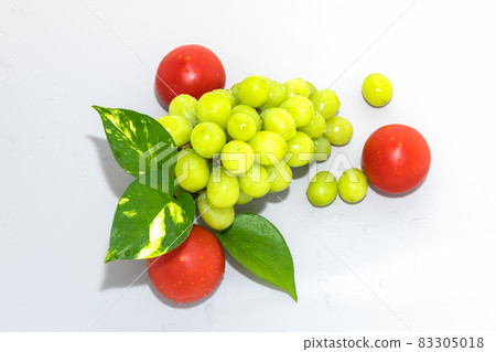 I collected fresh fruits. I collected fresh fruits. 83305018