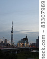 Rainbow-colored sky tree at dusk 83307969