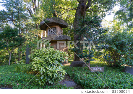 樂壽園(三島市)的樂壽燈籠 樂壽園(三島市)的樂壽燈籠 83308034